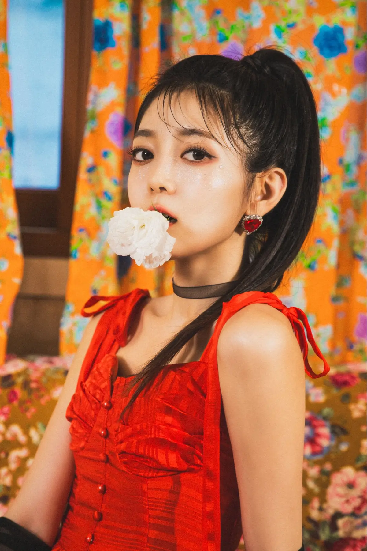 FERRY BLUE member Dozin