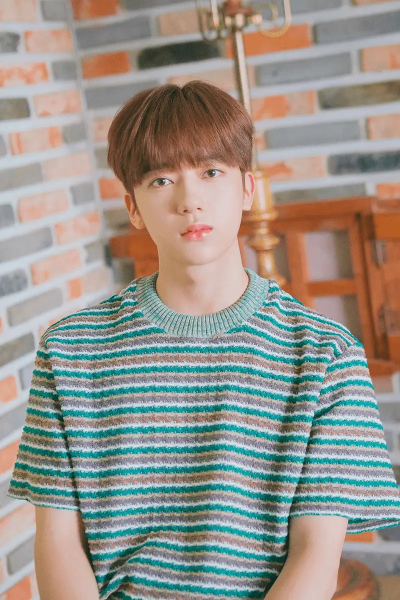 1THE9 former member Yechan