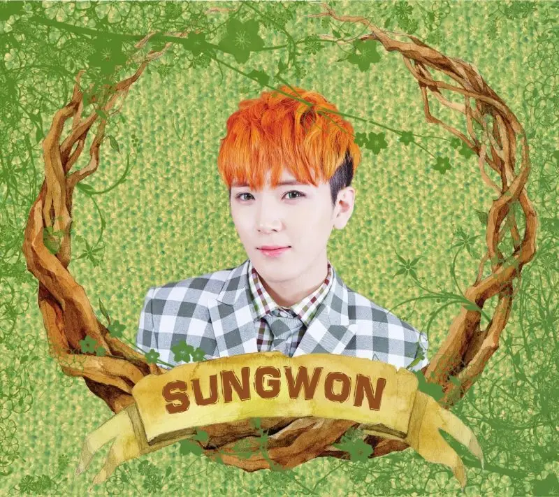 A-Prince former member Sungwon