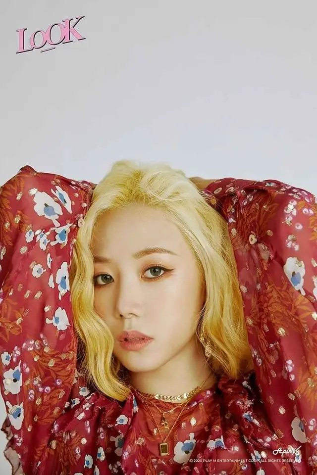 Apink BnN Members Profile: Full Names, Ages, Heights, Weights and More Apink BnN member Namjoo