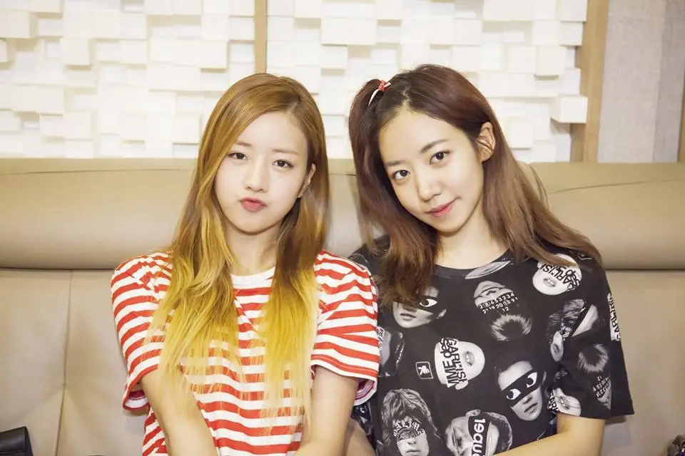 Apink BnN Members Profile: Full Names, Ages, Heights, Weights and More Apink BnN members are Bomi, and Namjoo.