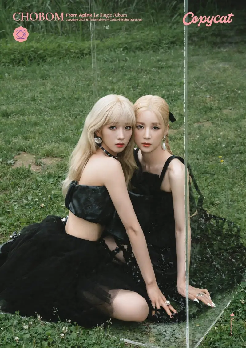 Apink CHOBOM members are Chorong, and Bomi.