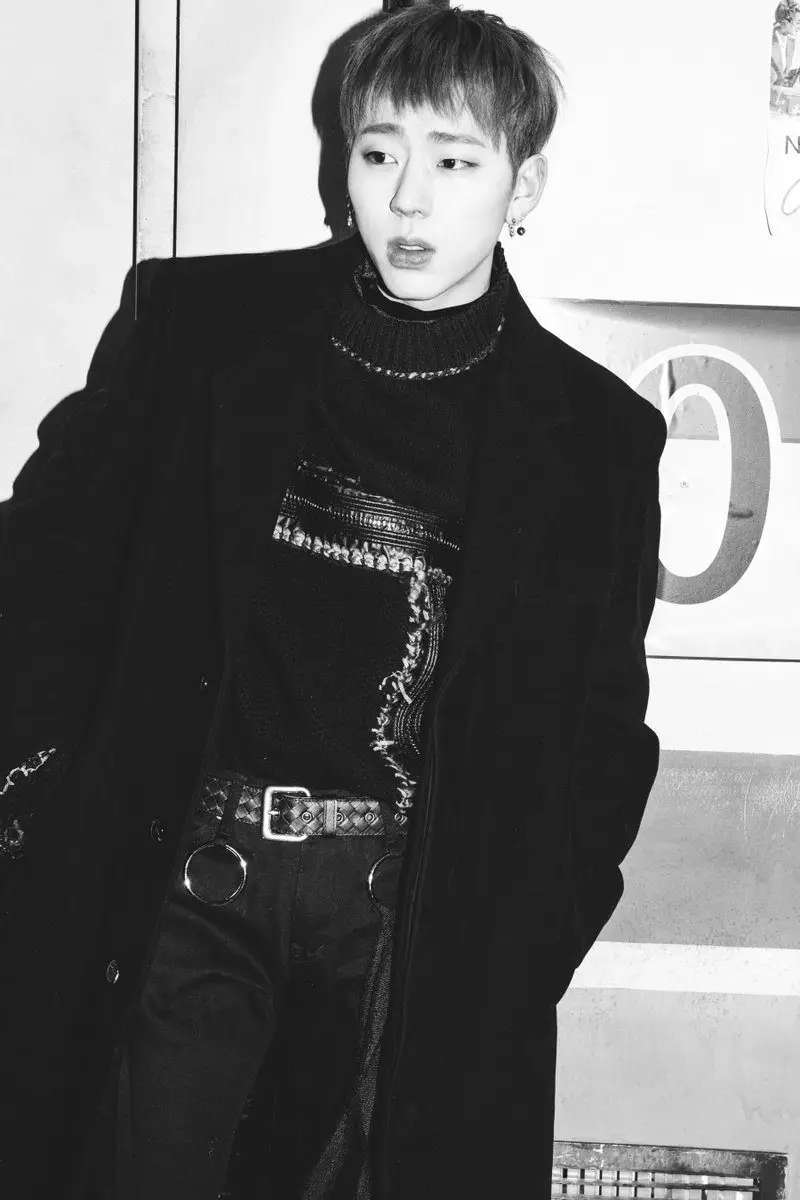 Block B member Zico