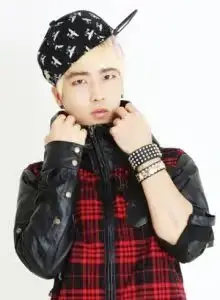 B.O.I (Best Of Idols) member Dal
