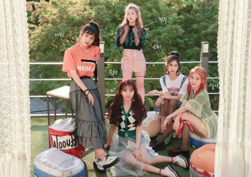 DAYDAY members are N/A.