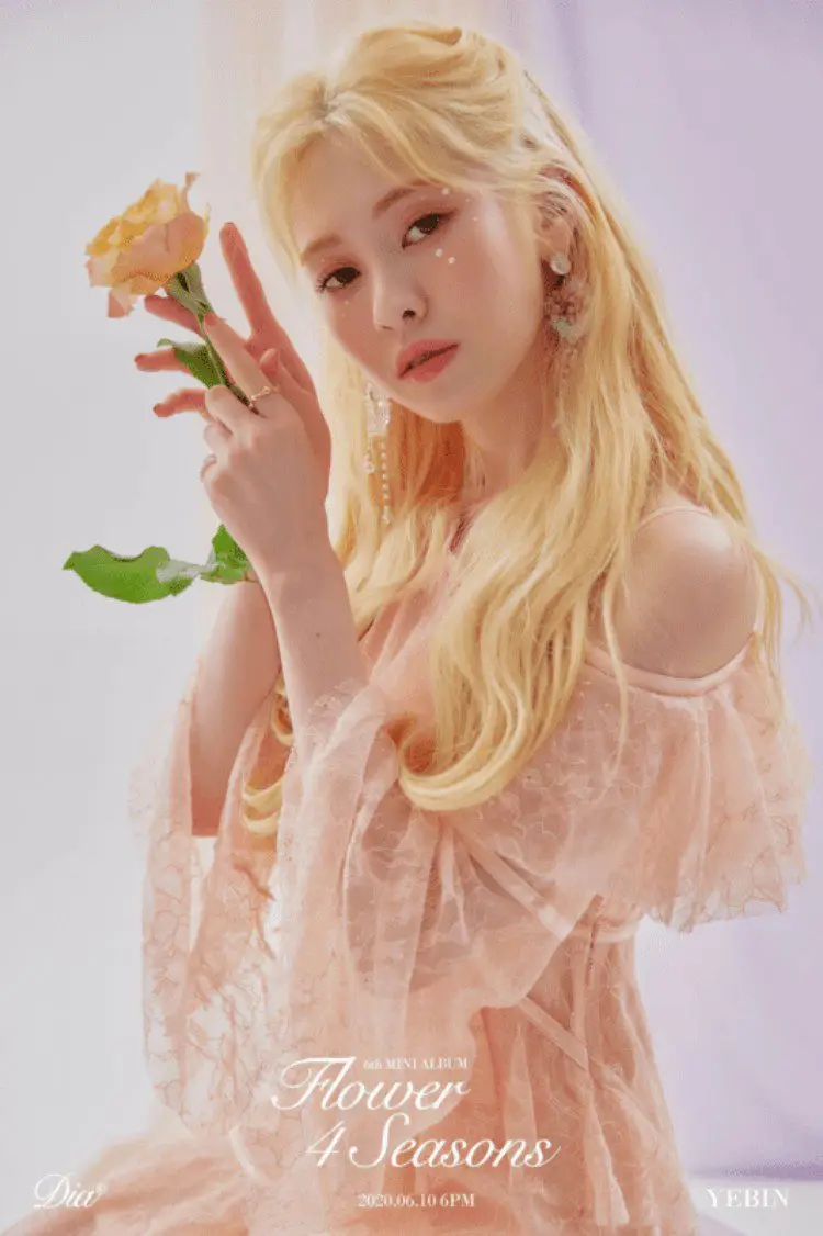 DIA member Yebin