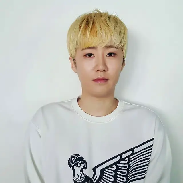 D.I.P former member Insu