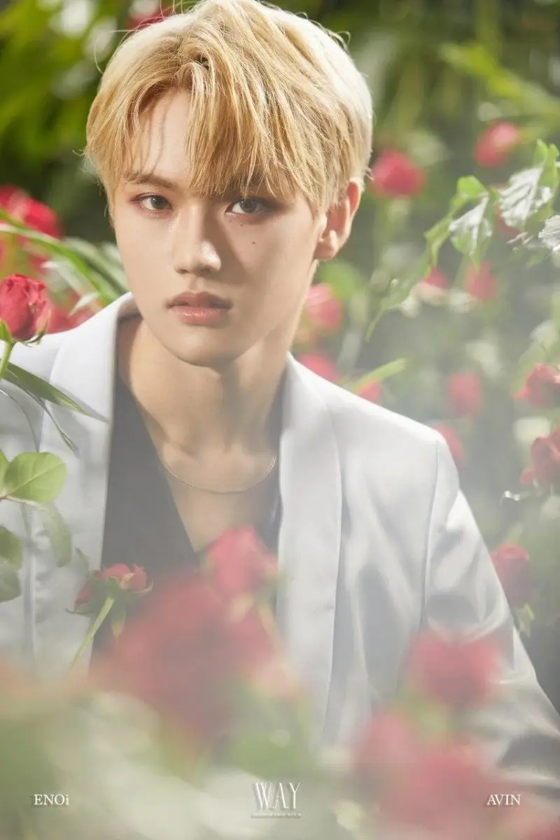 ENOi former member Avin