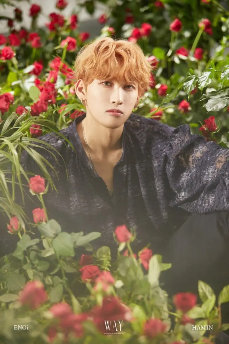 ENOi former member Hamin