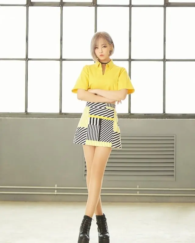 FlaShe former member Narae