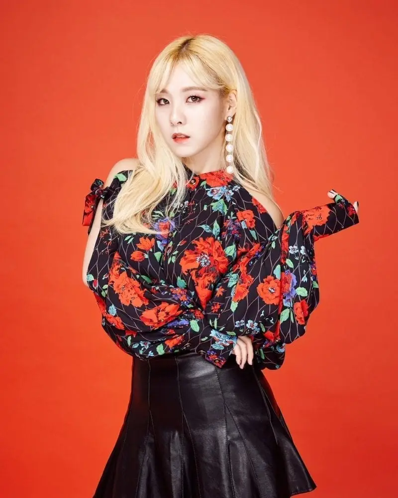 HeyGirls former member Heesu