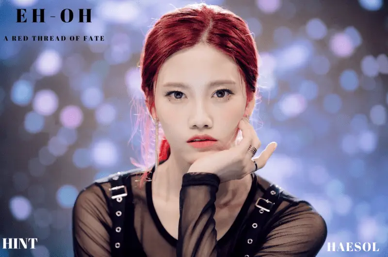HINT member Haesol