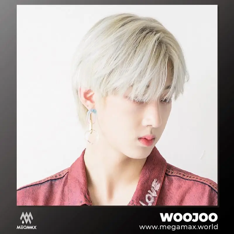 Megamax former member Woojoo