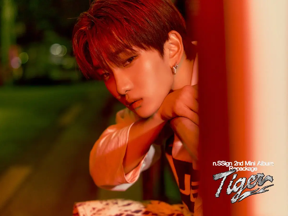 n.SSign former member Junhyeok