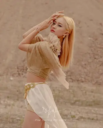 PinkFantasy Shadow former member SangA