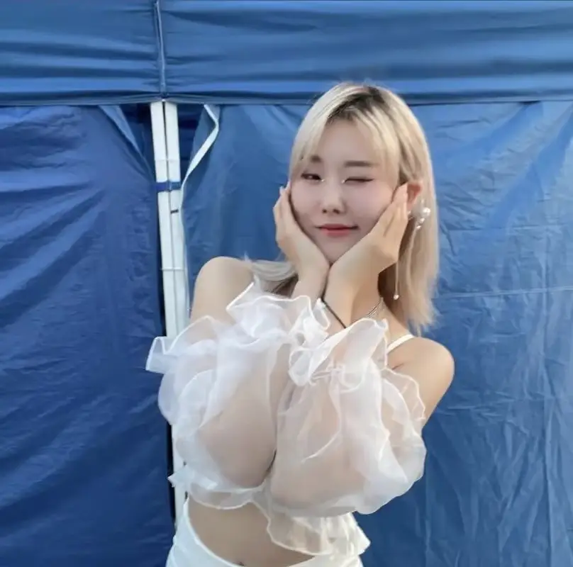 Rabbit or Fox former member Soorim