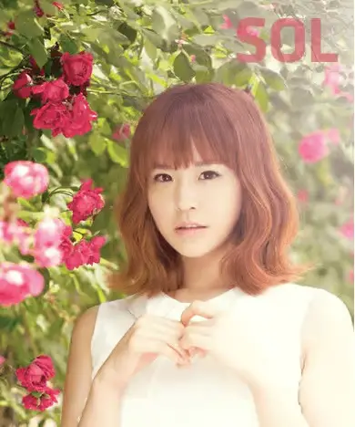 SKarf former member Sol