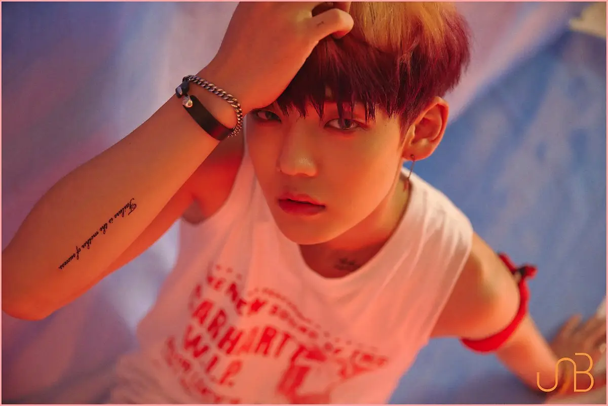 UNB member Chan