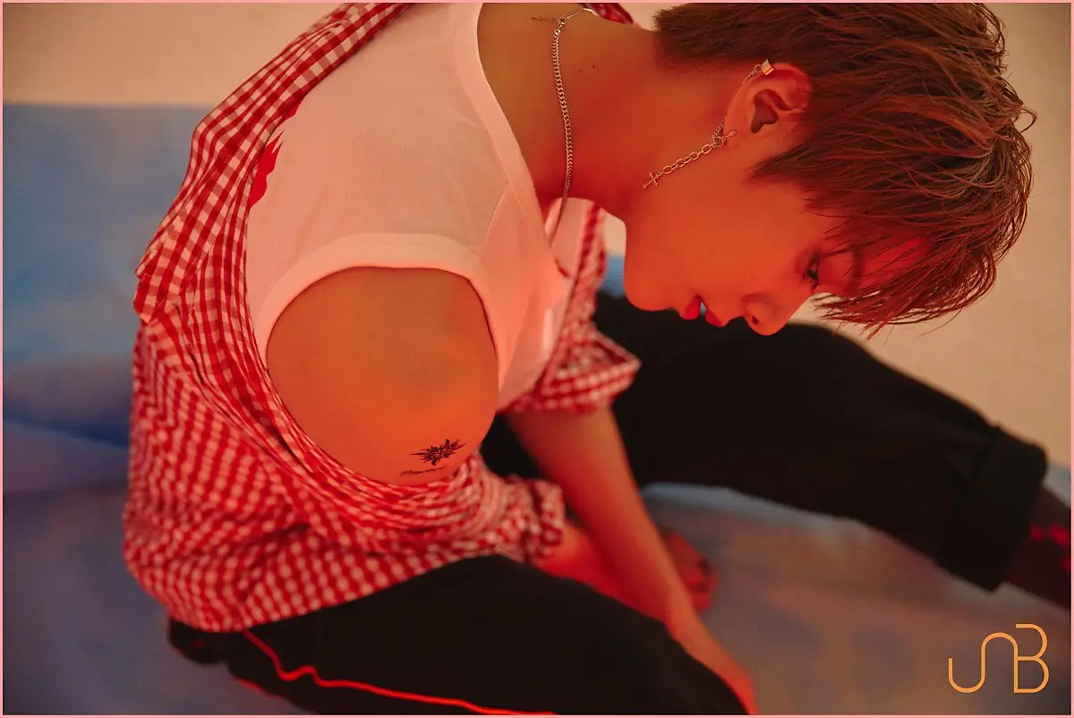 UNB member Hansol