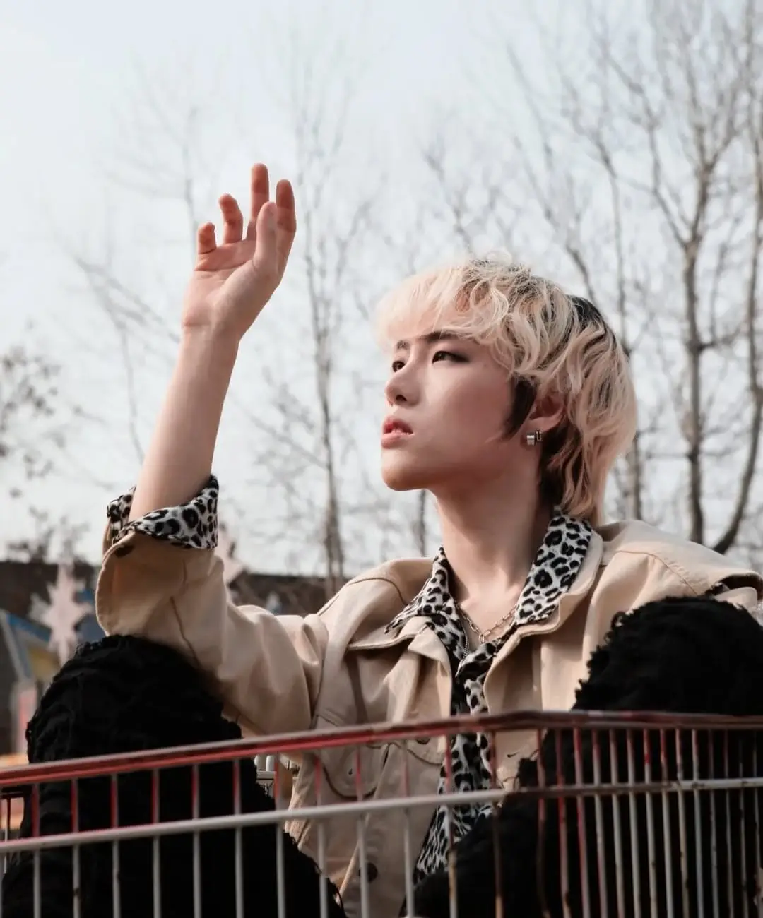 URSA MAJOR member KiKO