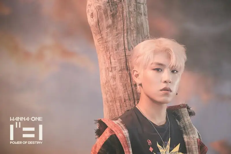 Wanna One former member Woojin