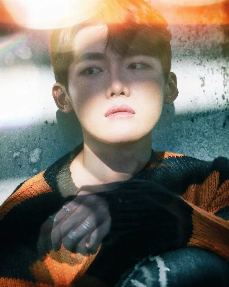 WOW member Pando
