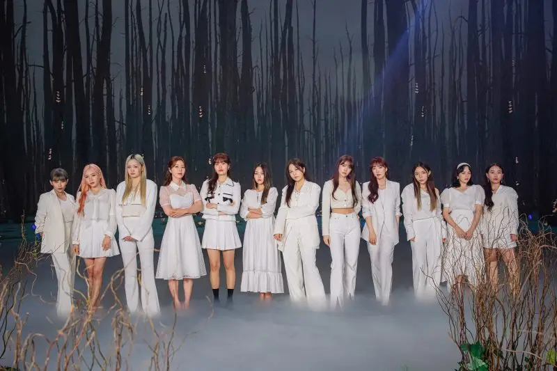 WSG Wannabe members are Eunhye, Navi, Boram, Kota, Jin Joo, Hyun Ah, SOLE, Soyeon, Uhm Jiyoon, Kwon Jinah, HYNN, and Jung Jiso.
