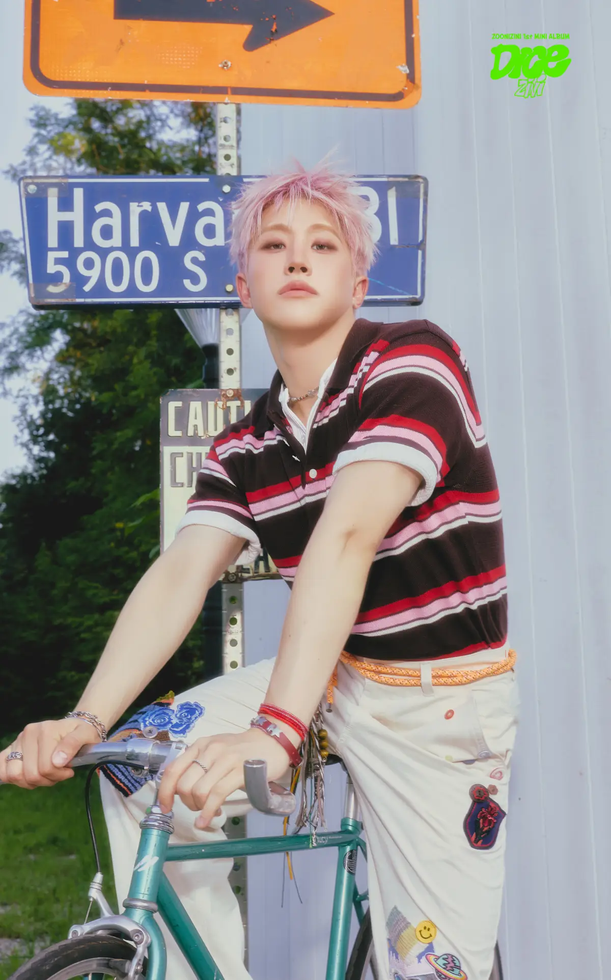 ZOONIZINI member JinJin